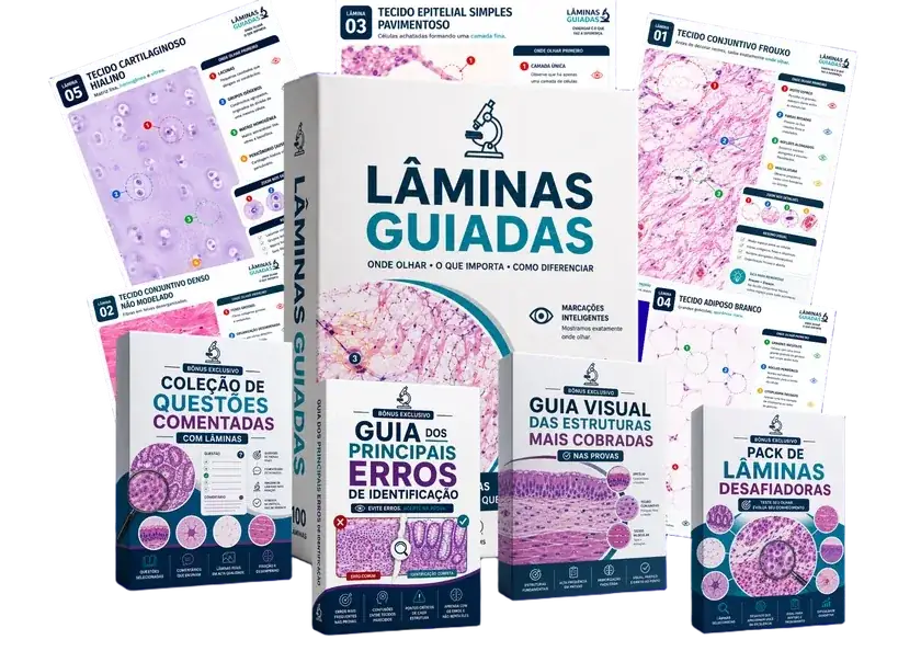 Pacote completo +100 Lâminas Guiadas com todos os bônus exclusivos